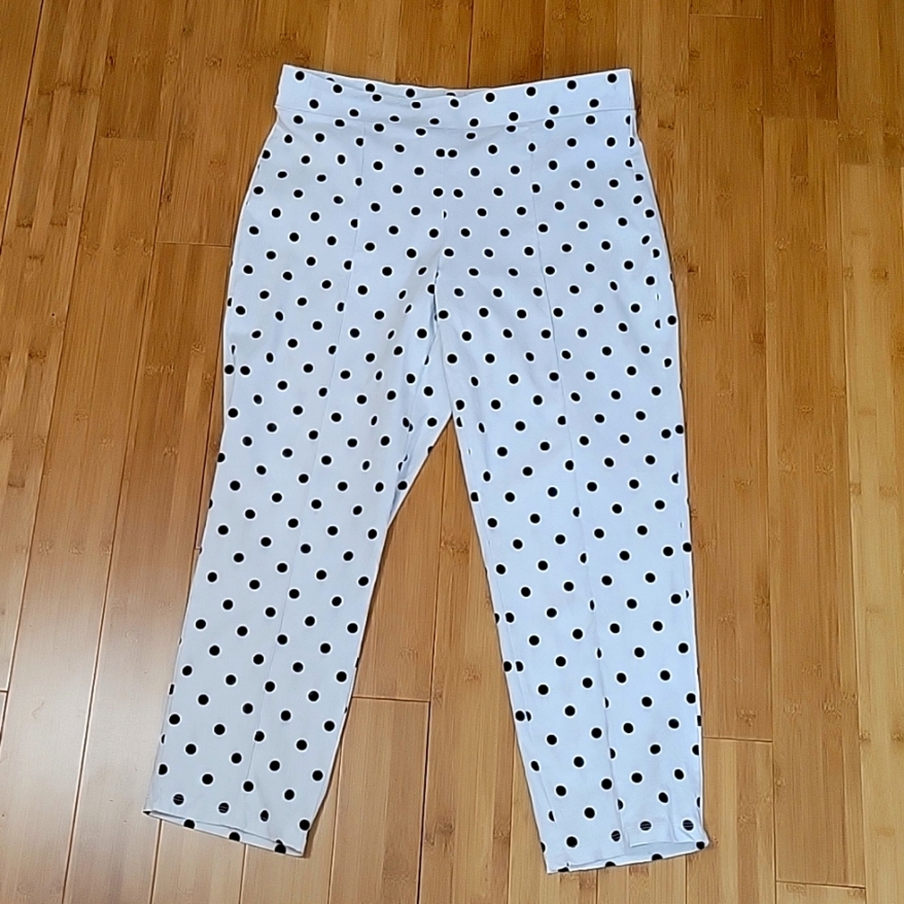 Polka dot by Ashley Stewart sz 18
